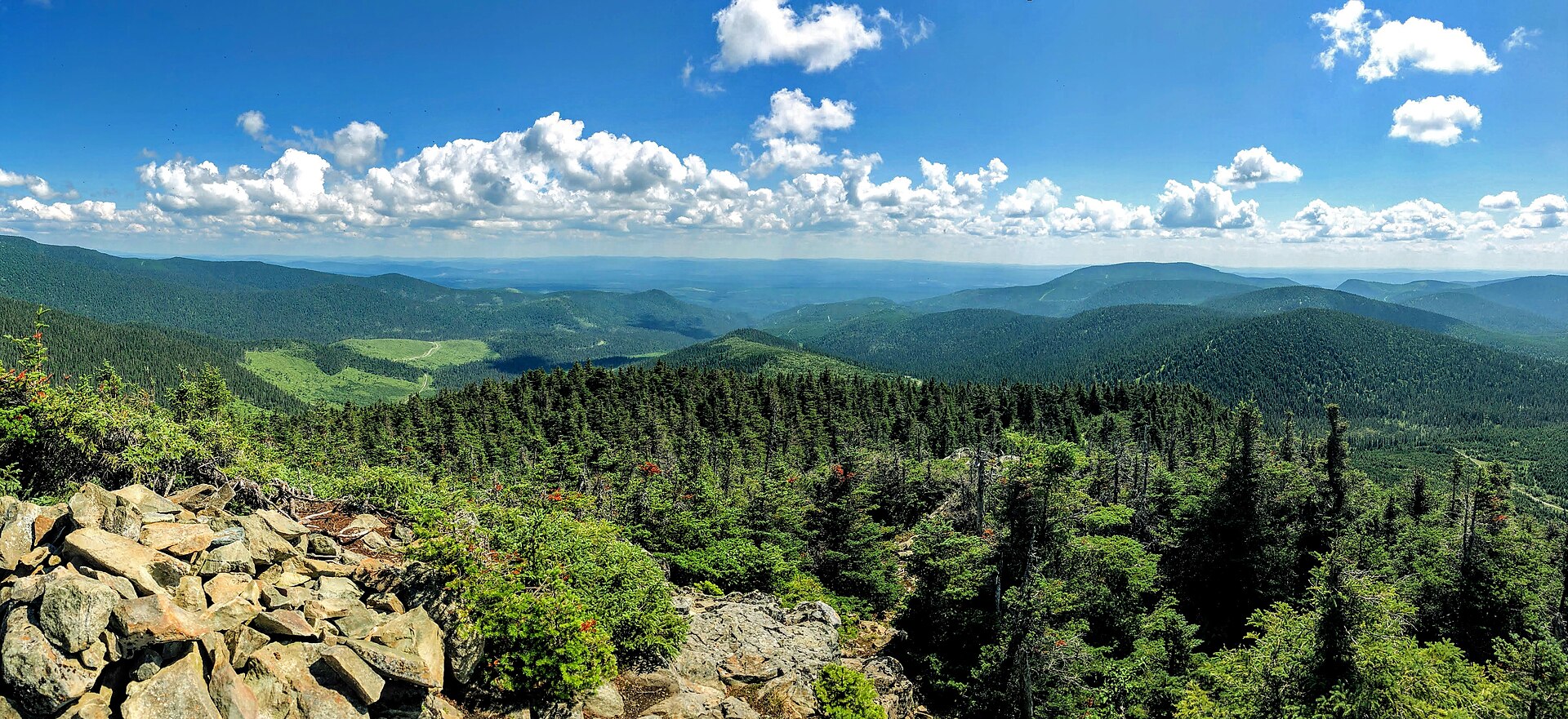 Vue du sommet du mont Pointu dans la réserve faunique de Matane, au Québec. Par Félix Mathieu-Bégin — Travail personnel, CC BY-SA 4.0, 