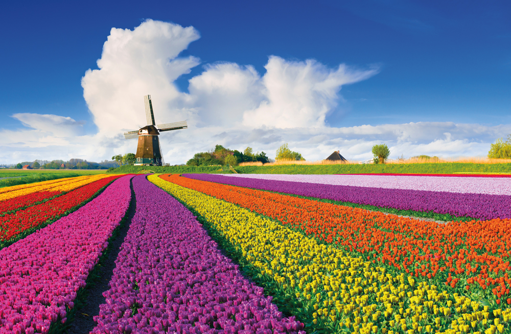 Pays-Bas
© iStockphoto.com/JacobH