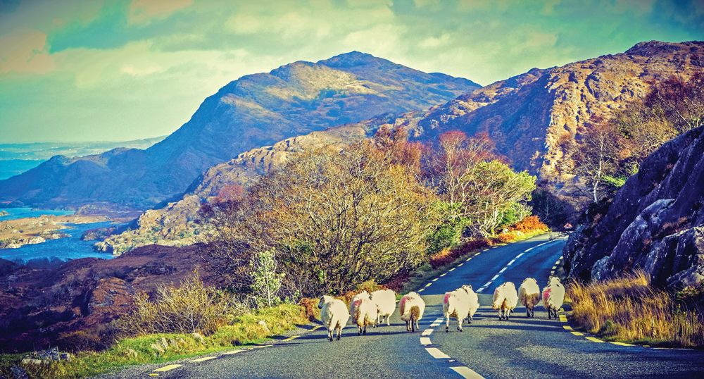 Ring of Kerry
©iStockphoto.com/Lisa5201