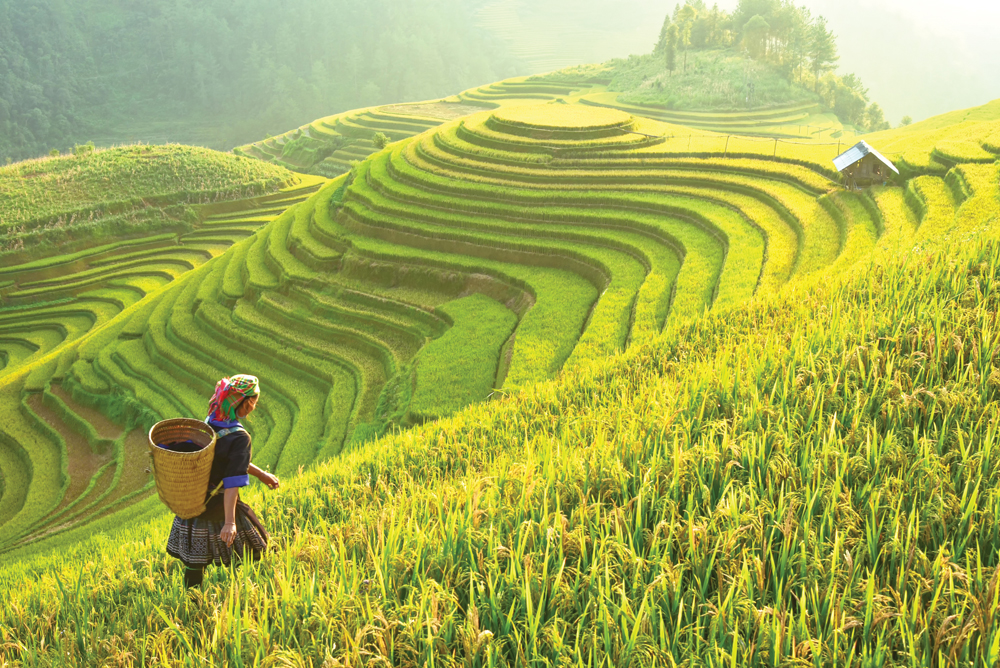 7 livres pour les voyageurs gourmands