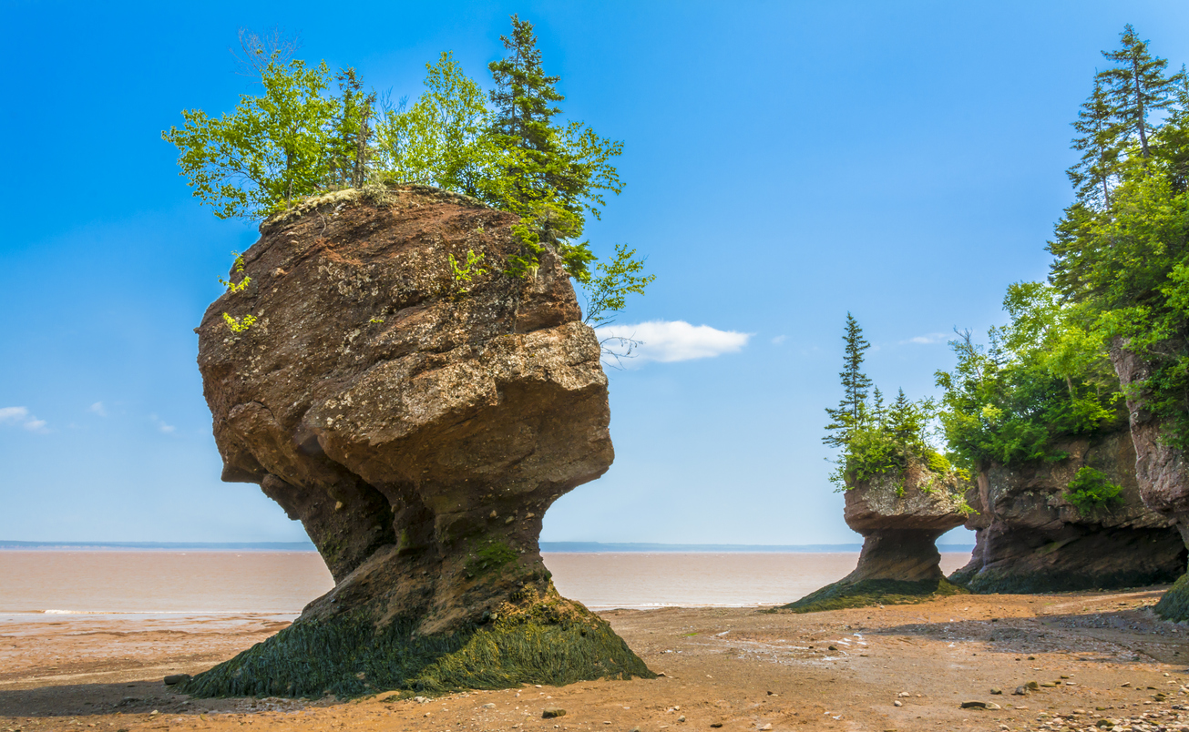 Hopewell Rocks, ou Flowerpot Rocks, Baie de Fundy, Nouveau-Brunswick. © iStock / kenmo