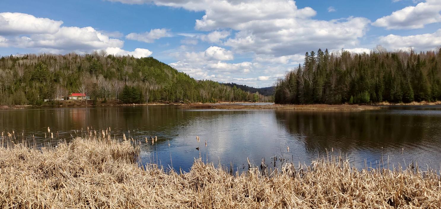 Un lac au printemps dans Lanaudière. © iStock / Gilles Rivest