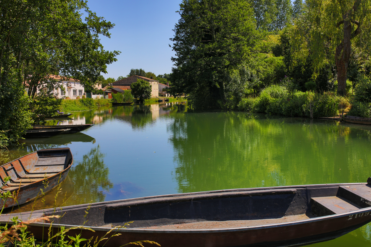 Le Marais potevin en France. © iStock / litchi-cyril
