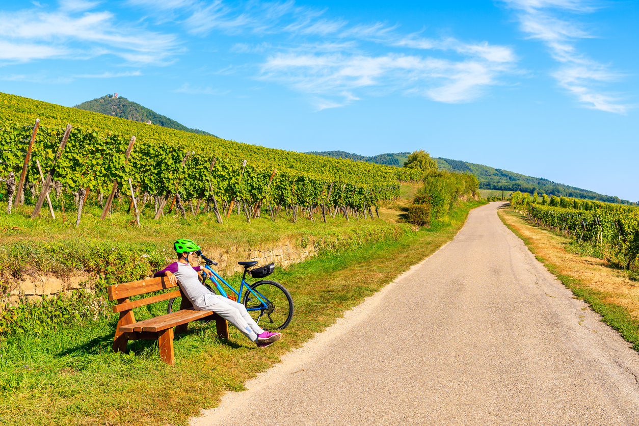 Route des vins d’Alsace près du village de Hunawihr, France. © iStock / pkazmierczak