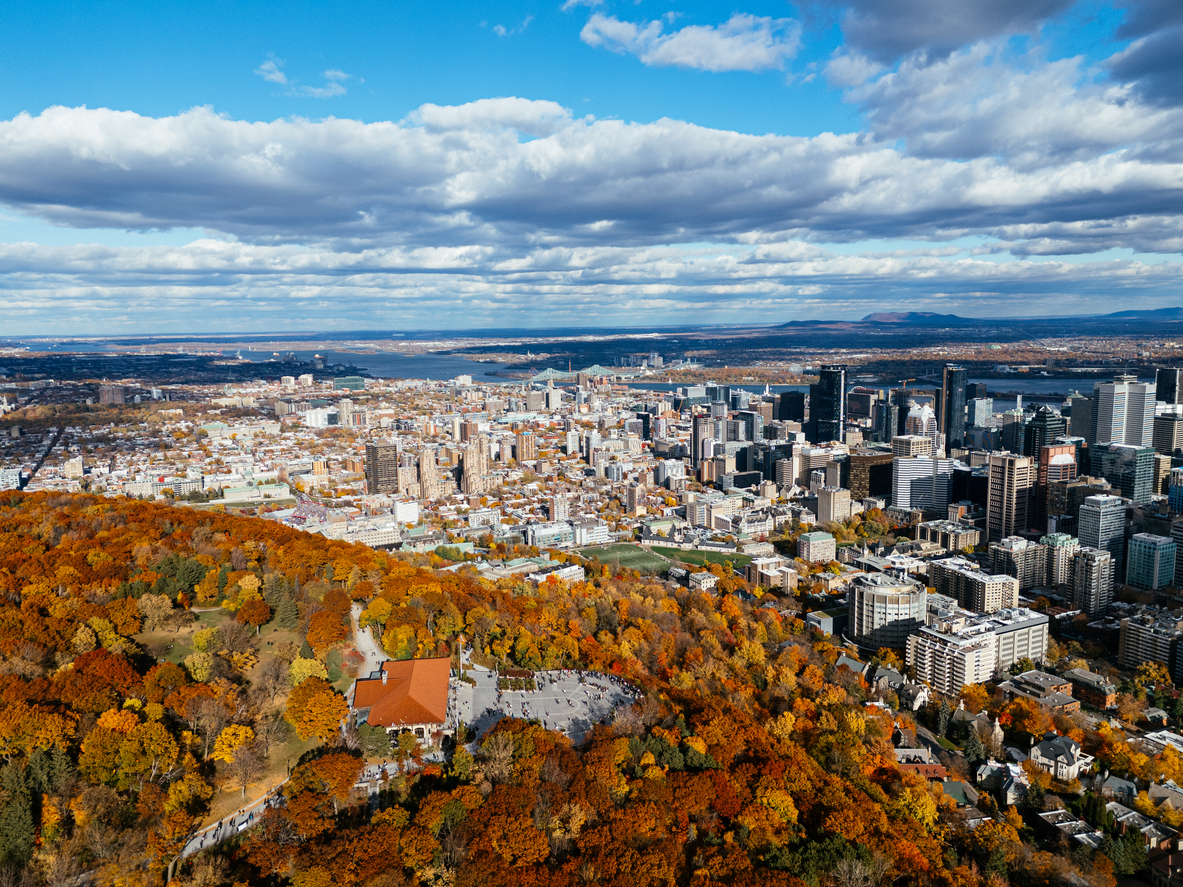 Les Mont-Royal et les immeubles du centre-ville de Montréal © iStock / Artem Onoprienko