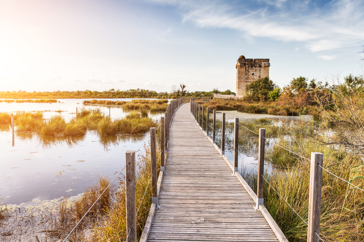 La Tour Carbonnière - Camargue - France. © iStock / PJPhoto69