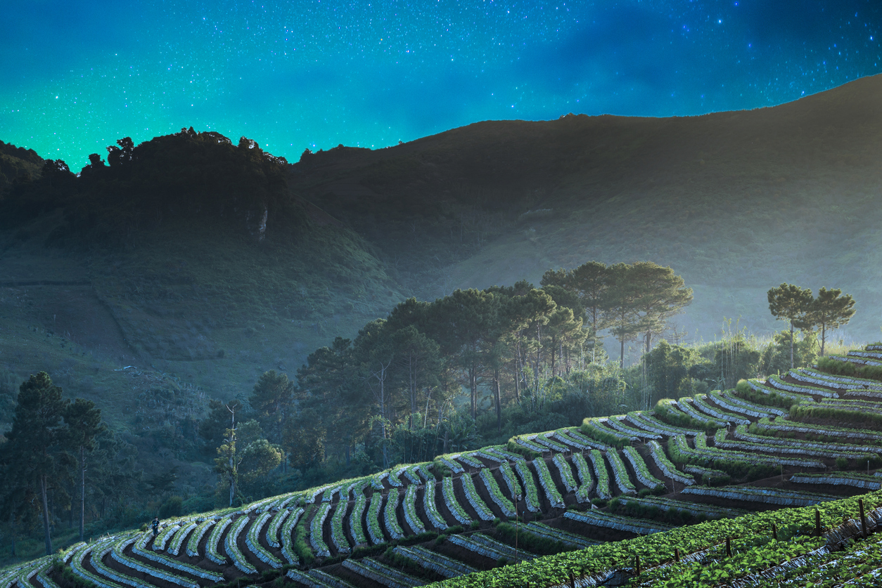 Paysage près de Chiang Mai, Nord de la Thaïlande. © iStock / primeimages