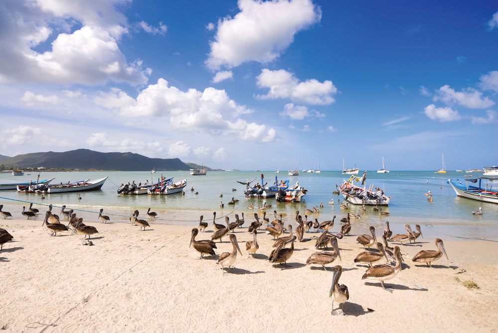 Isla Margarita