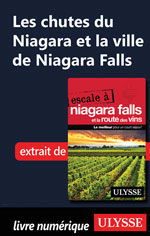 Les chutes du Niagara et la ville de Niagara Falls