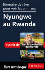 Itinéraire de rêve pour voir les animaux Nyungwe au Rwanda
