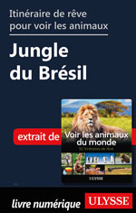 Itinéraire de rêve pour voir les animaux -  Jungle du Brésil