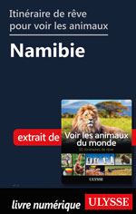 Itinéraire de rêve pour voir les animaux -  Namibie