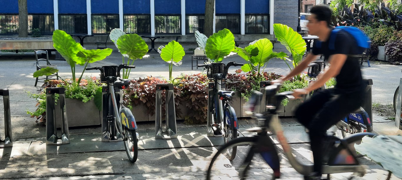 Vélo place Roy, Montréal. Photo  © Daniel Desjardins