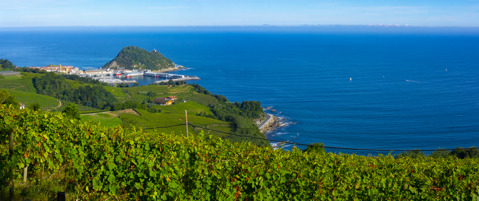 Vignoble près de Getaria, Pays basque espagnol © iStock / poliki