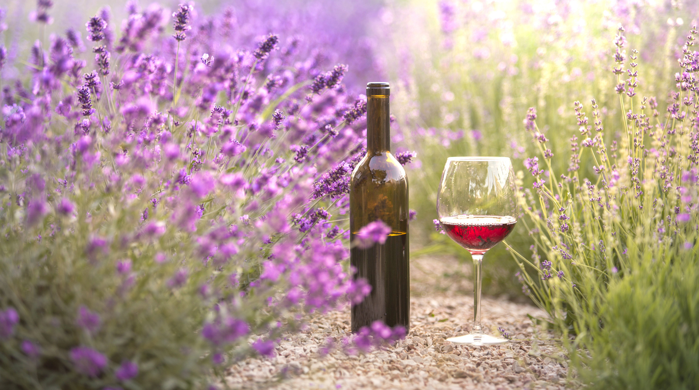 Un verre de vin rouge dans un décor provençal © iStock Kotkoa