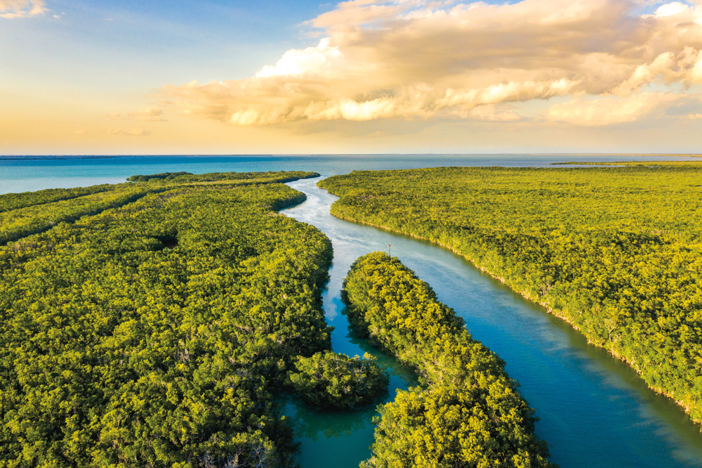 Les Everglades