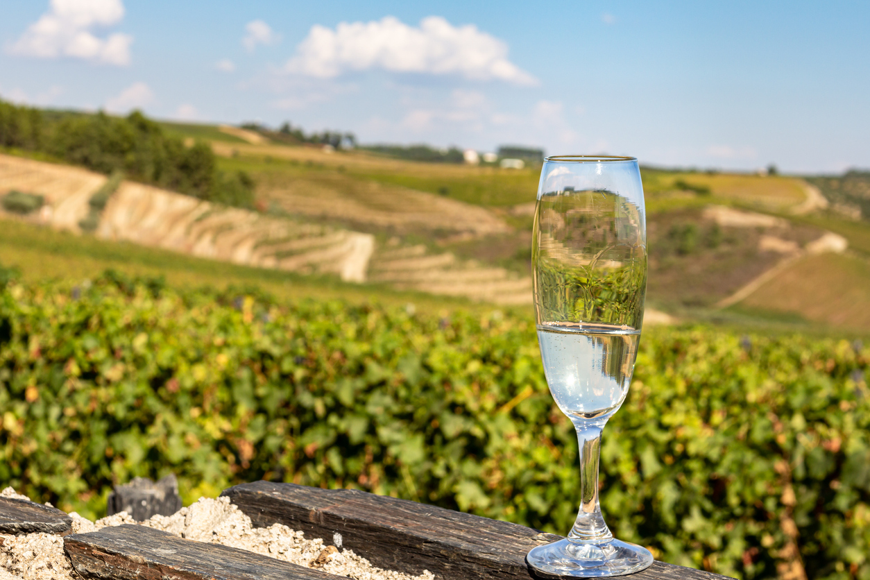 Un verre de mousseux devant un vignoble du Portugal © iStock / MichelGuenette