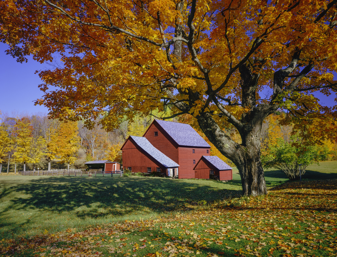 Grange du Vermont, Nouvelle-Angleterre, USA  © iStock / Ron and Patty Thomas