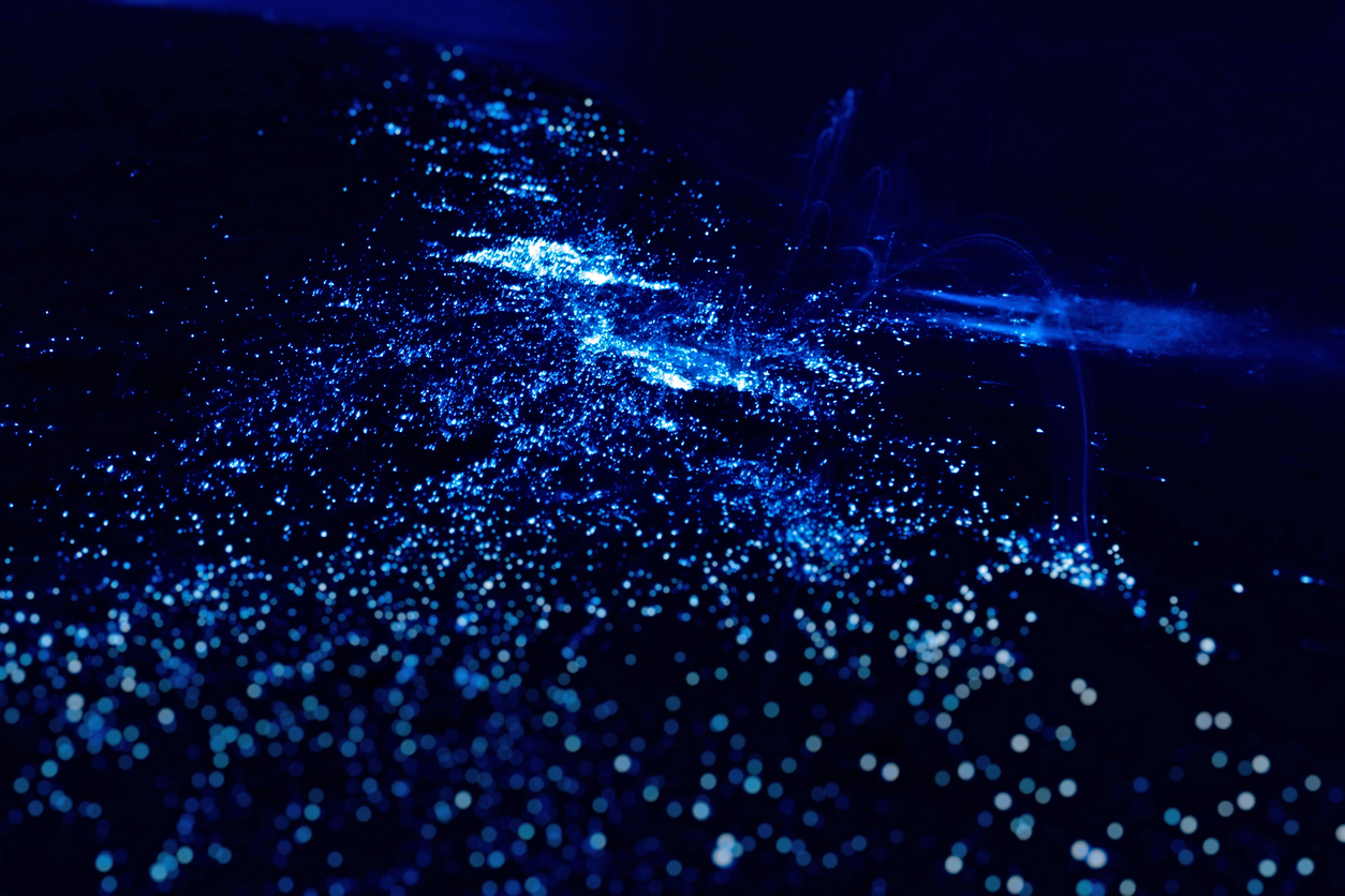 Bioluminescence. l'Illumination du plancton © iStock / PawelG Photo