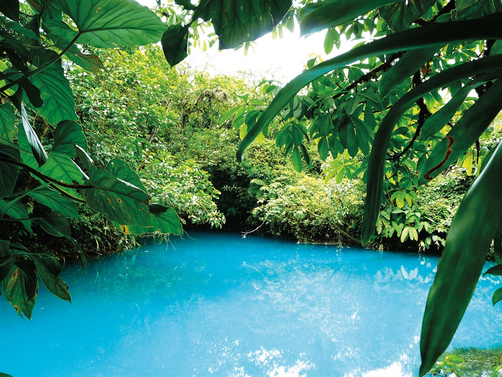 Un bassin dans le Parque Nacional Manuel Antonio. © iStockphoto.com/nicolasboivin