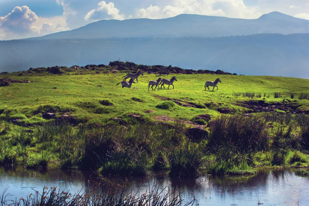 Cratère de Ngorongoro | © Dreamstime.com/Michal Bednarek