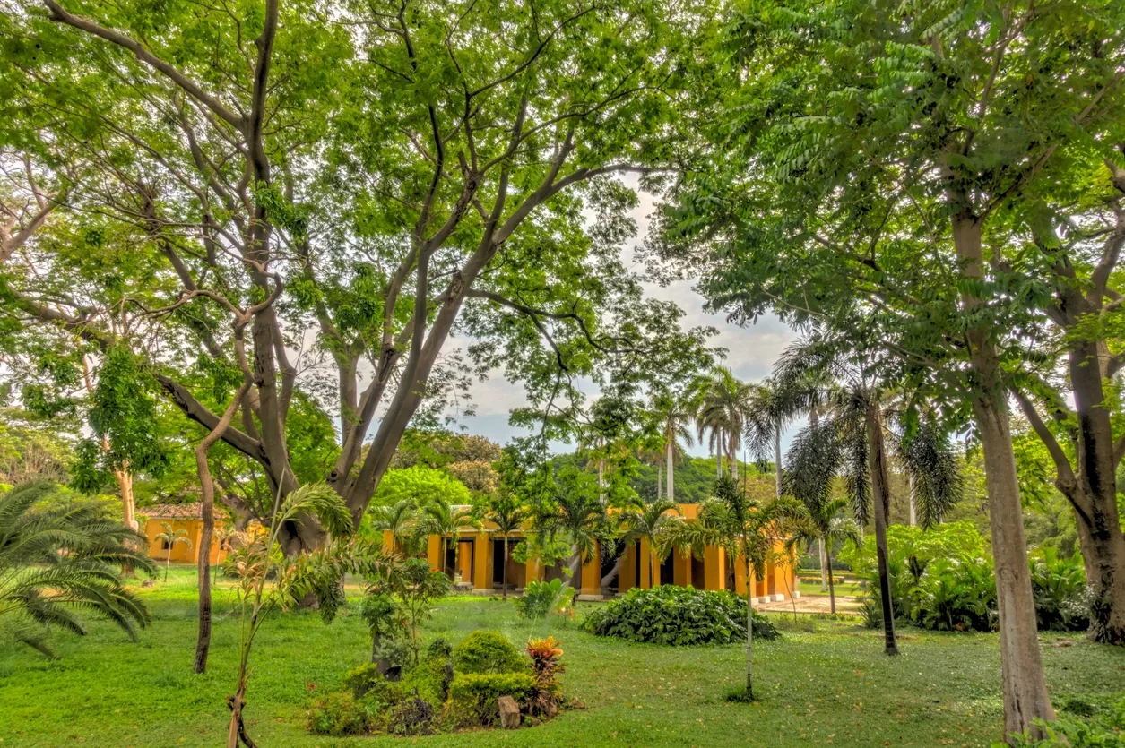 La Quinta de San Pedro Alejandrino à Santa Marta en Colombie © iStock / mehdi33300