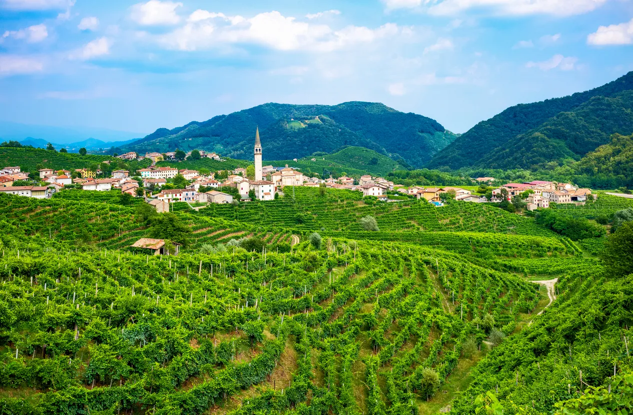 Vignoble du Prosecco et Valdobbiadene en arrière-plan
© iStock/Gim42