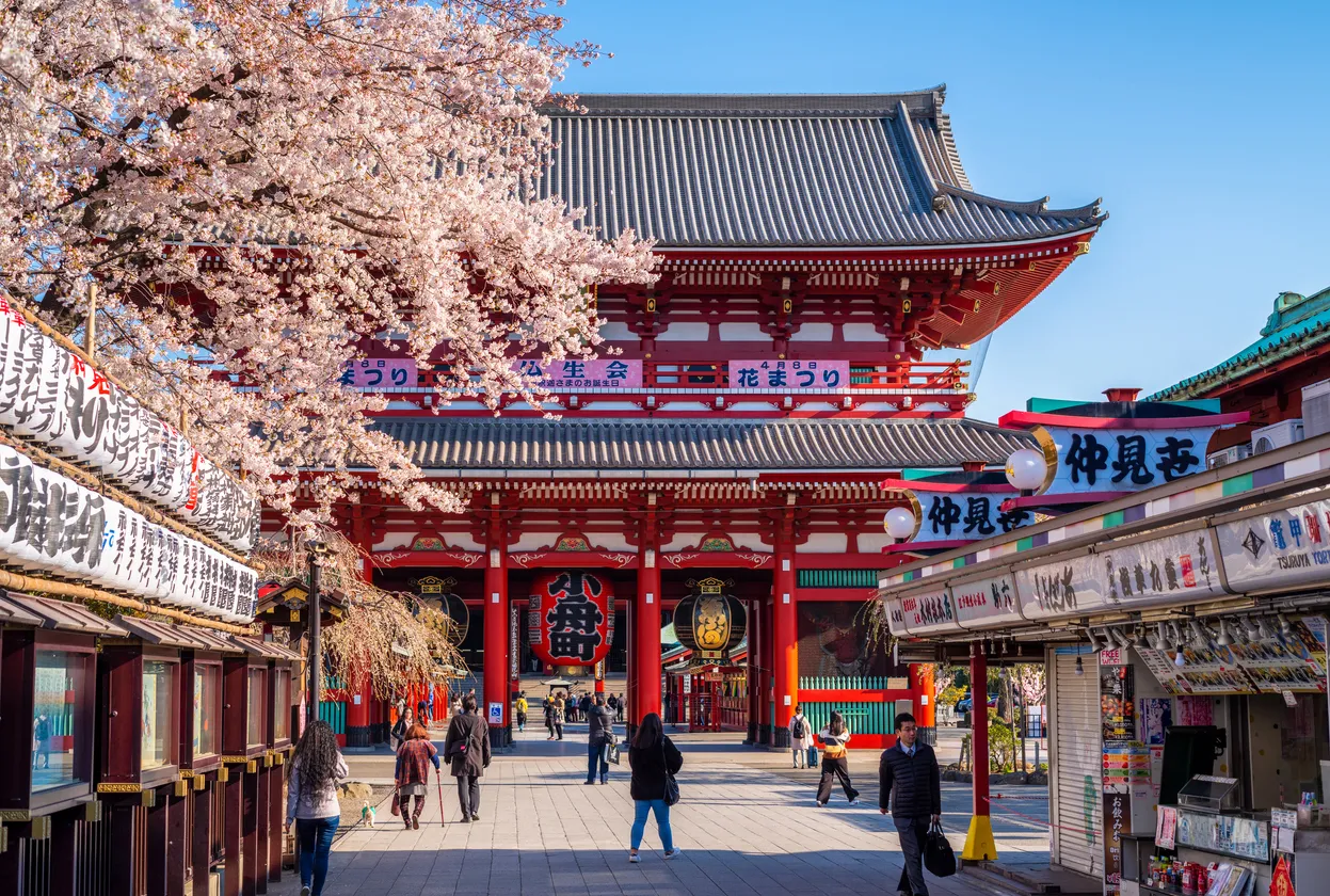 Le temple  Senso-ji  à Tokyo au printemps, lorsque les cerisiers sont en fleurs  ©  iStock / Eloi_Omella