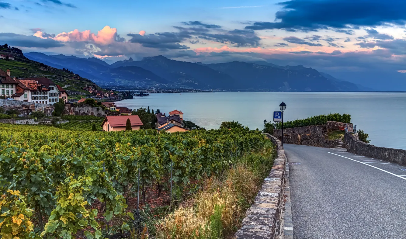 Les environs de Lavaux près du lac Léman, canton de Vaud, Suisse © iStock / Elenarts108