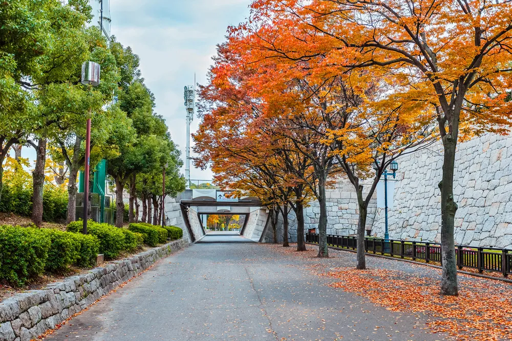 Osaka Castle Park, Osaka, Japon | © coward_lion