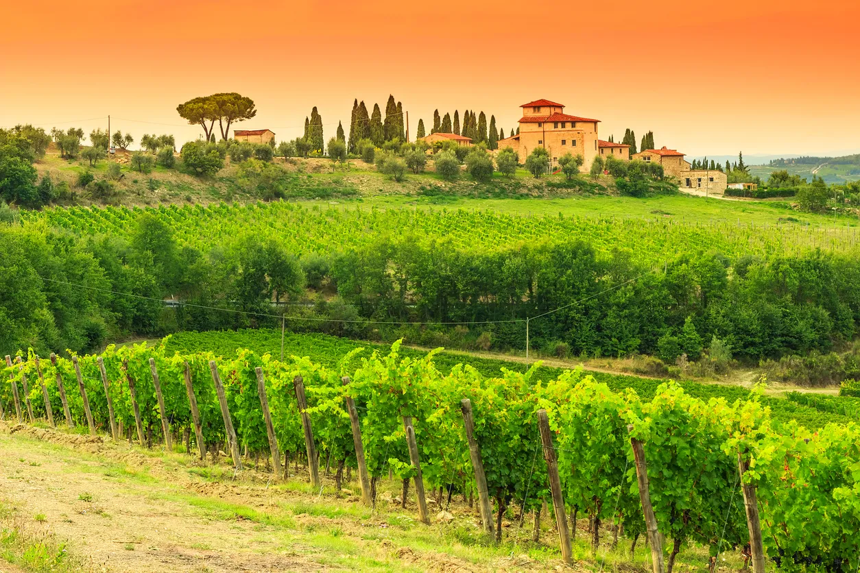 Vignoble du Chianti, Toscane, Italie du Nord
© iStock/Janoka82