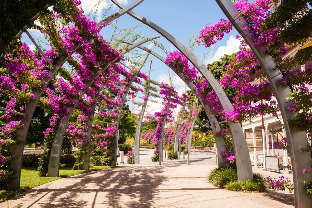 City Botanic Gardens, Brisbane, Australie | © SheraleeS