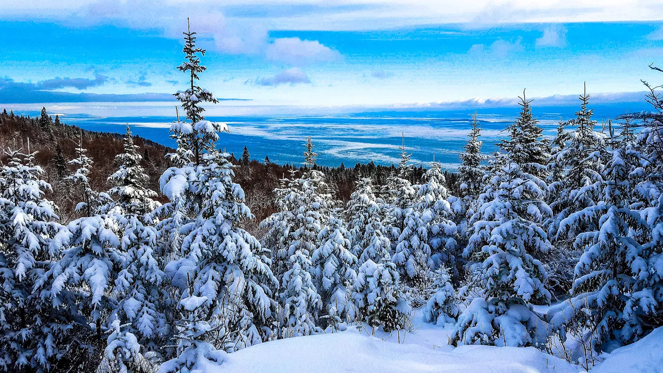 Paysage d'hiver au Québec © iStocks / GenDeschenes