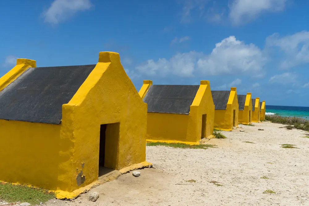 Red Slave, Kralendijk, Bonaire | © Stephan Kogelman